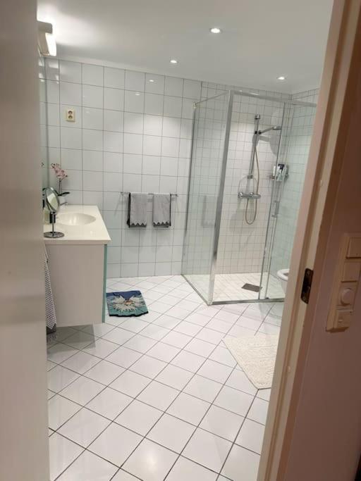 Apartment Naer Sentrum Skoyen