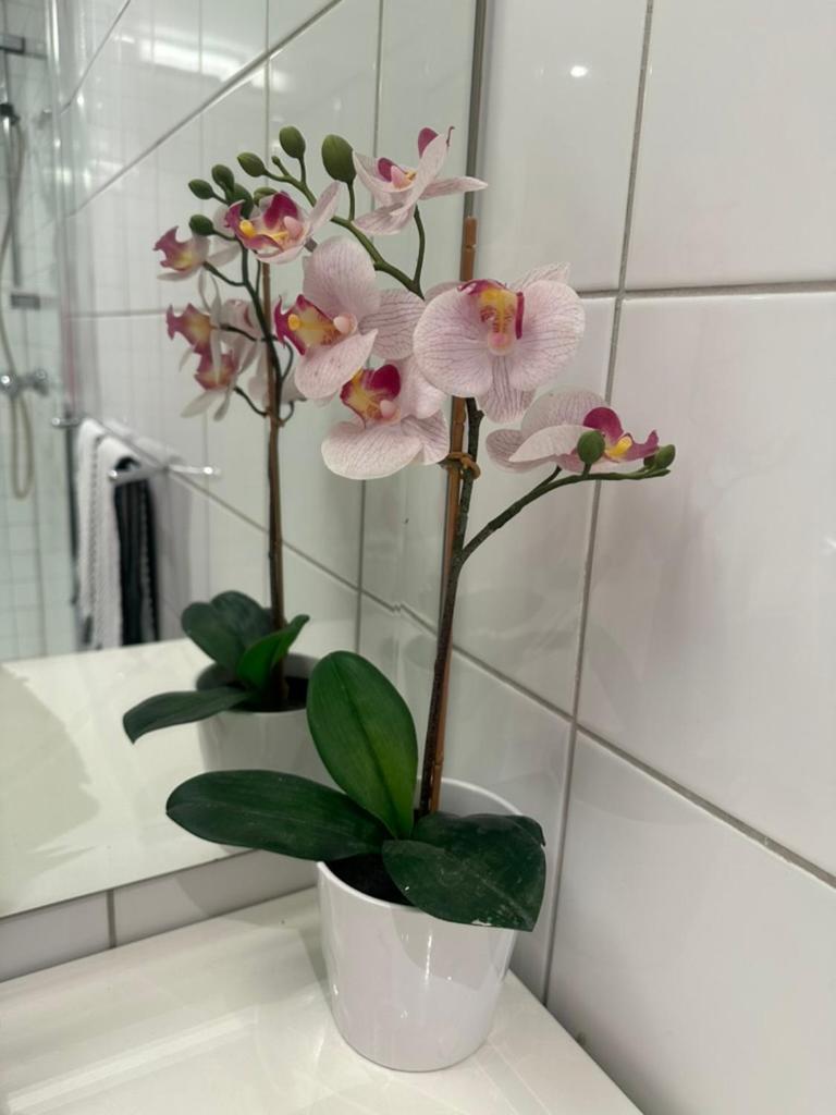 Leilighet Naer Sentrum Skoyen Oslo