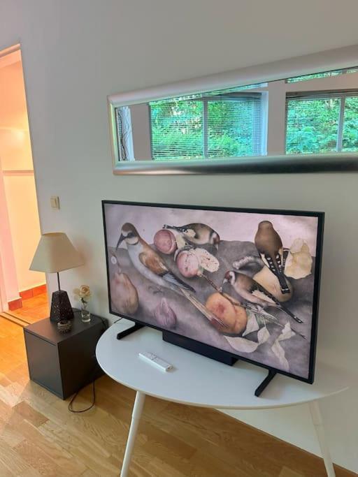 Leilighet Naer Sentrum Skoyen Oslo
